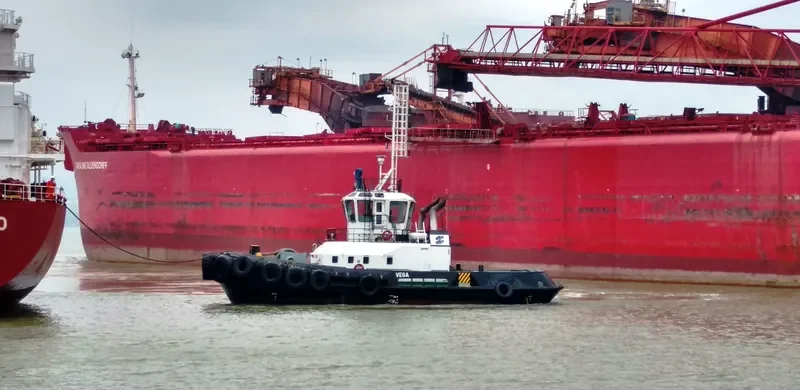 VEGA General Cargo IMO 9541916