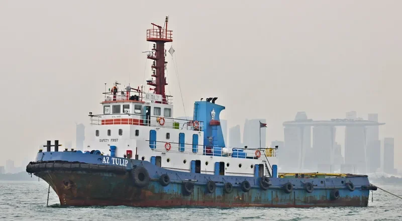 AZ TULIP General Cargo IMO 9541930