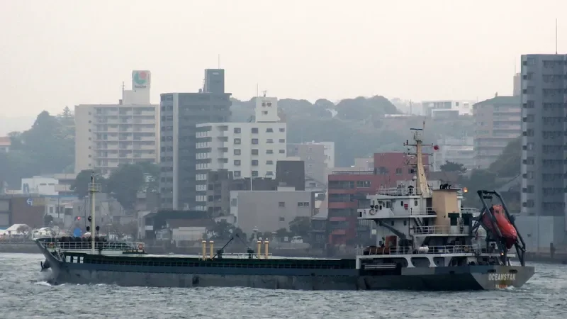 SHENG WEI 1 General Cargo IMO 9542245 photo 6
