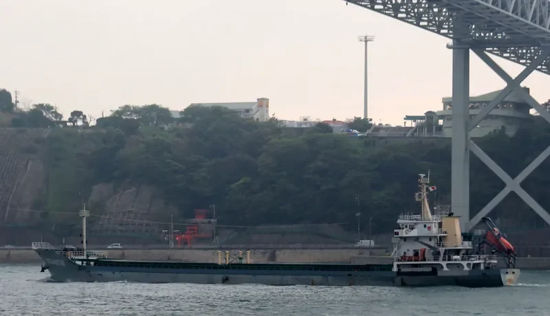SHENG WEI 1 General Cargo IMO 9542245 photo 7