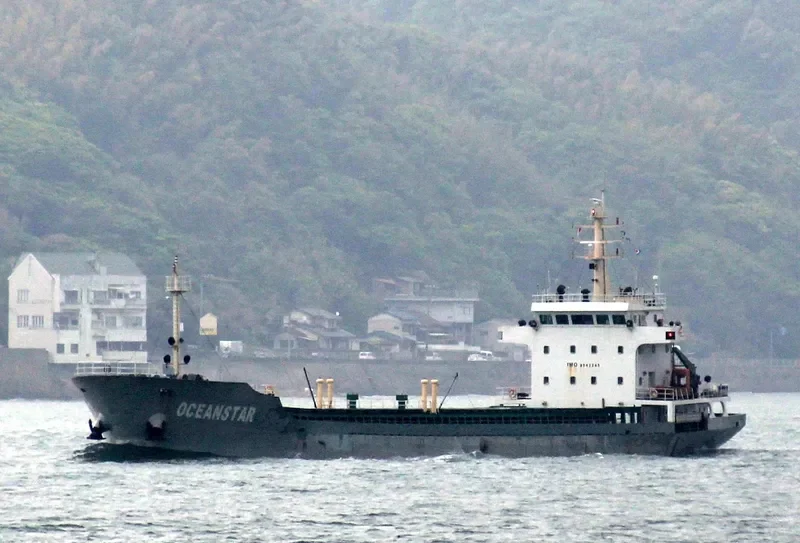 SHENG WEI 1 General Cargo IMO 9542245 photo 10