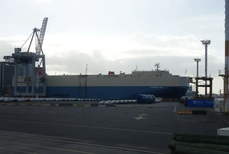 GARDENIA ACE General Cargo IMO 9542295 photo 6
