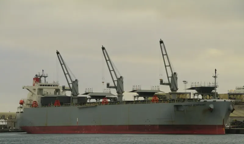 FOREST SYMPHONY Bulk Carrier IMO 9542415 photo 2
