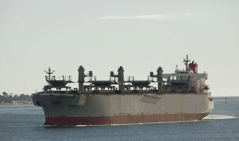 FOREST SYMPHONY Bulk Carrier IMO 9542415 photo 6