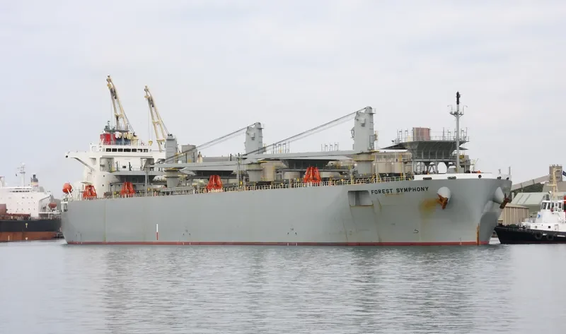 FOREST SYMPHONY Bulk Carrier IMO 9542415 photo 7