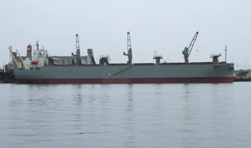 FOREST SYMPHONY Bulk Carrier IMO 9542415 photo 8