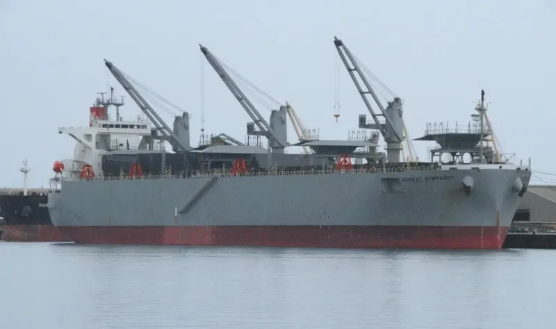 FOREST SYMPHONY Bulk Carrier IMO 9542415 photo 9