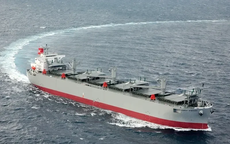 FOREST SYMPHONY Bulk Carrier IMO 9542415 photo 10