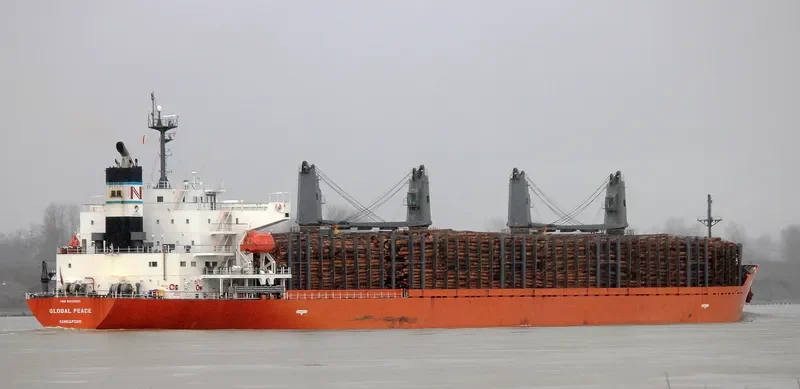 SHAKESPEARE BAY Bulk Carrier IMO 9542661