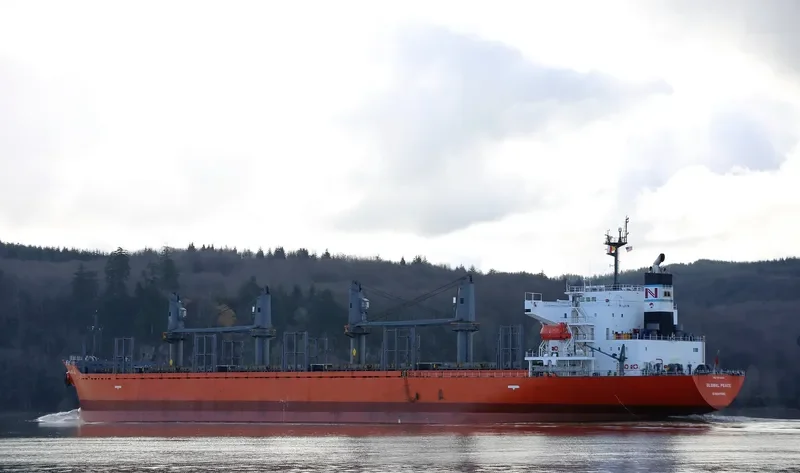 SHAKESPEARE BAY Bulk Carrier IMO 9542661 photo 5