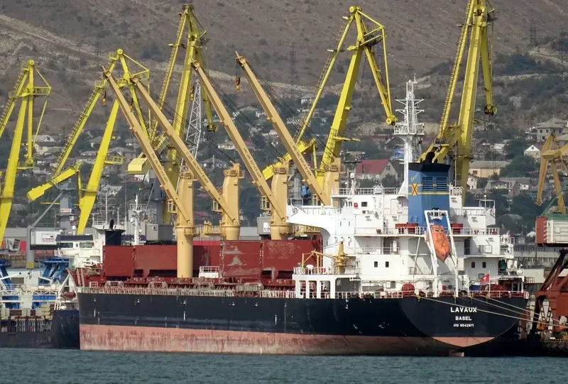 LAVAUX Bulk Carrier IMO 9542817