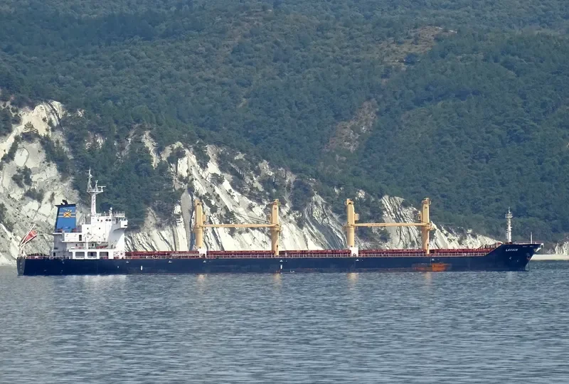 LAVAUX Bulk Carrier IMO 9542817 photo 4