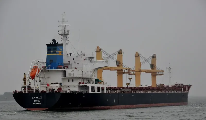 LAVAUX Bulk Carrier IMO 9542817 photo 6