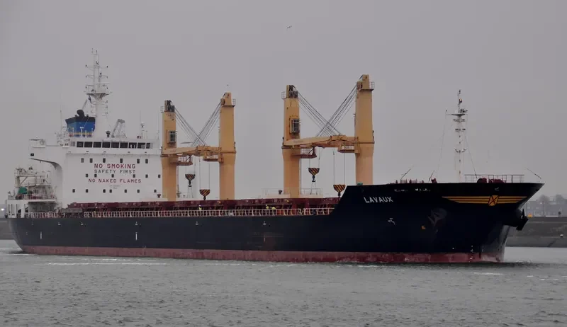 LAVAUX Bulk Carrier IMO 9542817 photo 9