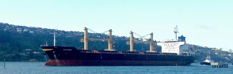 ROMANDIE Bulk Carrier IMO 9542829 photo 8