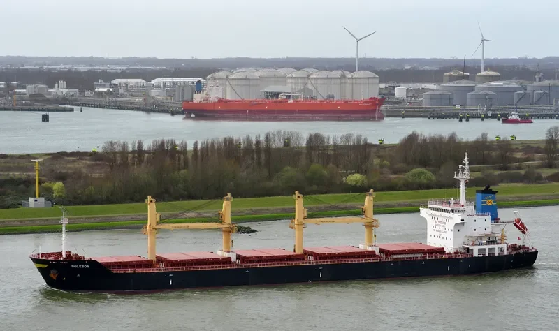 MOLESON Bulk Carrier IMO 9542831