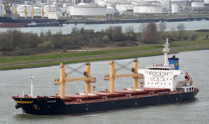 MOLESON Bulk Carrier IMO 9542831 photo 2