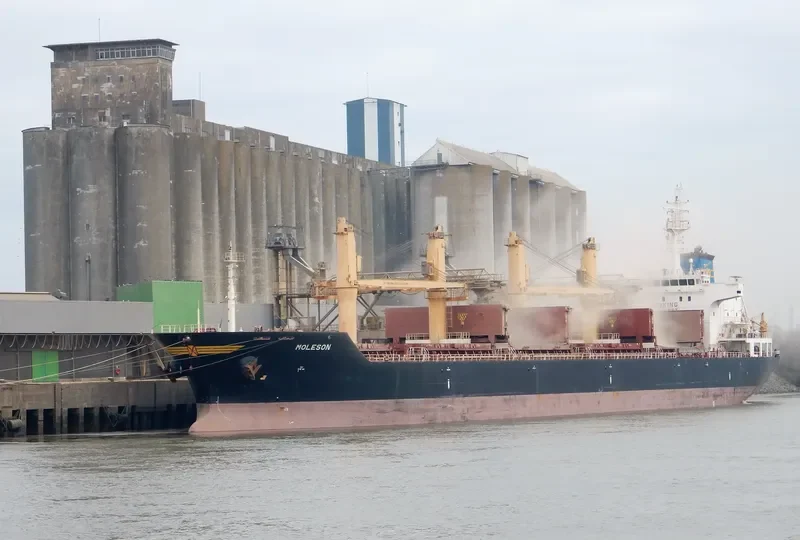 MOLESON Bulk Carrier IMO 9542831 photo 4