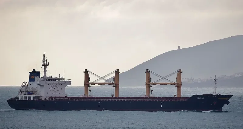 MOLESON Bulk Carrier IMO 9542831 photo 6