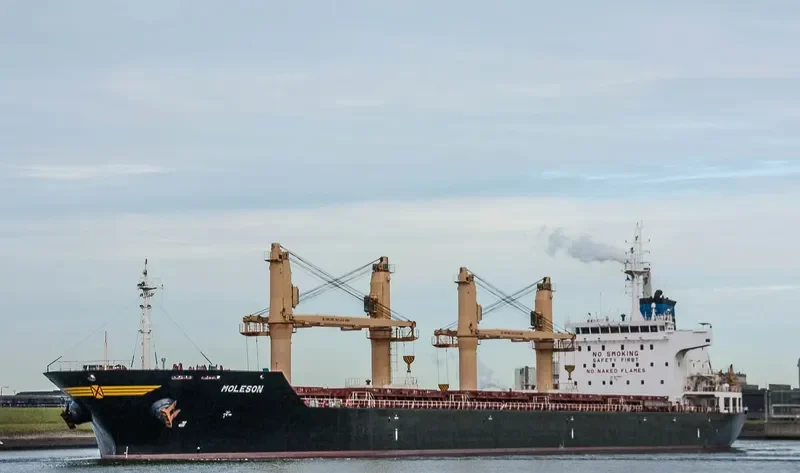 MOLESON Bulk Carrier IMO 9542831 photo 8