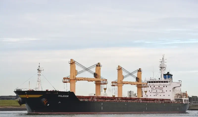 MOLESON Bulk Carrier IMO 9542831 photo 9
