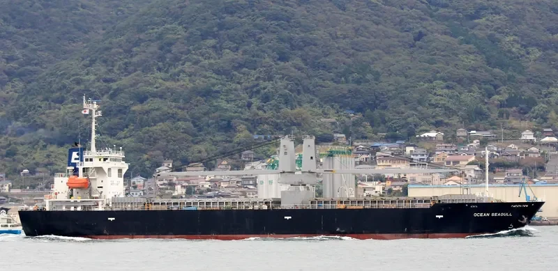 OCEAN SEAGULL General Cargo IMO 9542855 photo 3