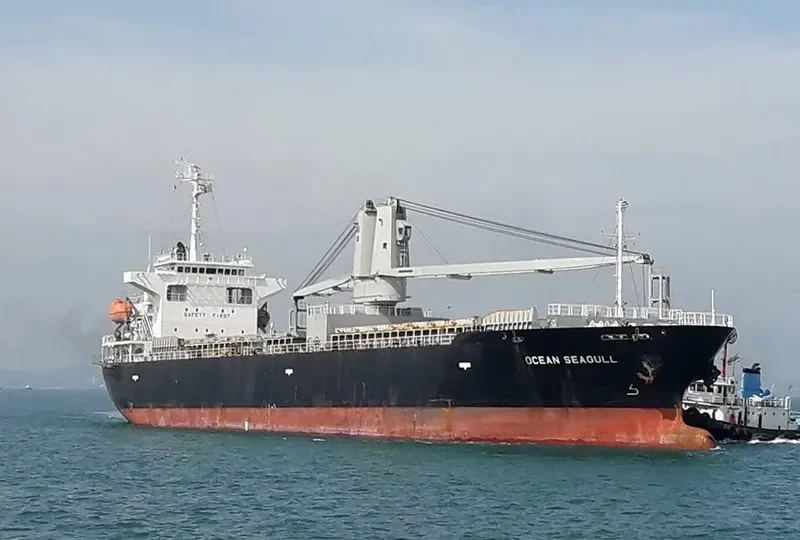 OCEAN SEAGULL General Cargo IMO 9542855 photo 5