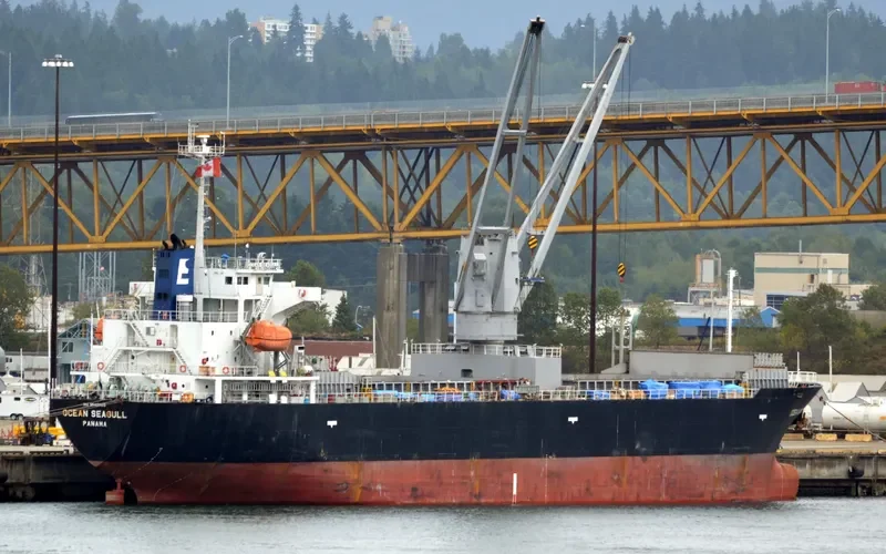 OCEAN SEAGULL General Cargo IMO 9542855 photo 10