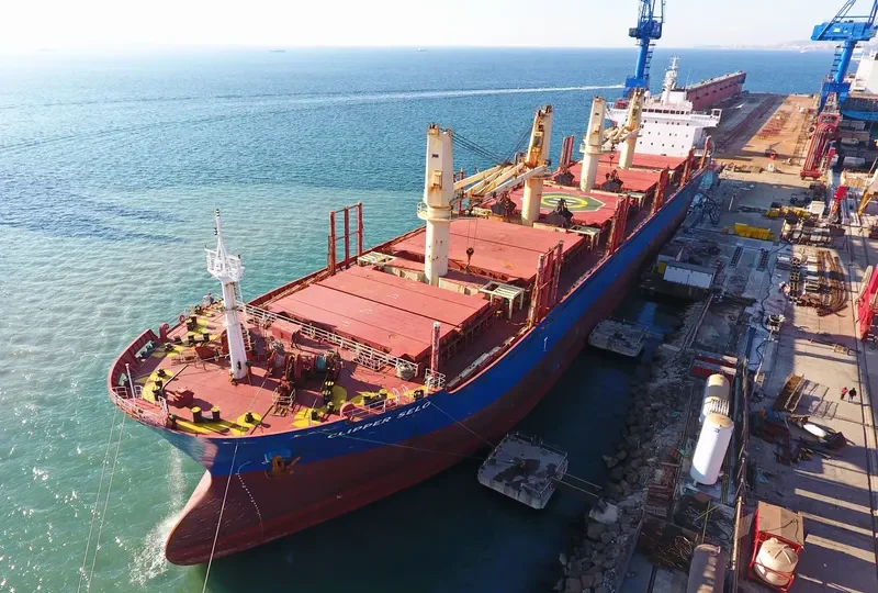 CLIPPER SELO Bulk Carrier IMO 9543251