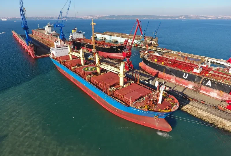 CLIPPER SELO Bulk Carrier IMO 9543251 photo 5
