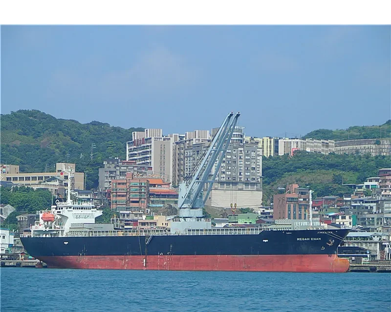 TOYO DREAM General Cargo IMO 9543275