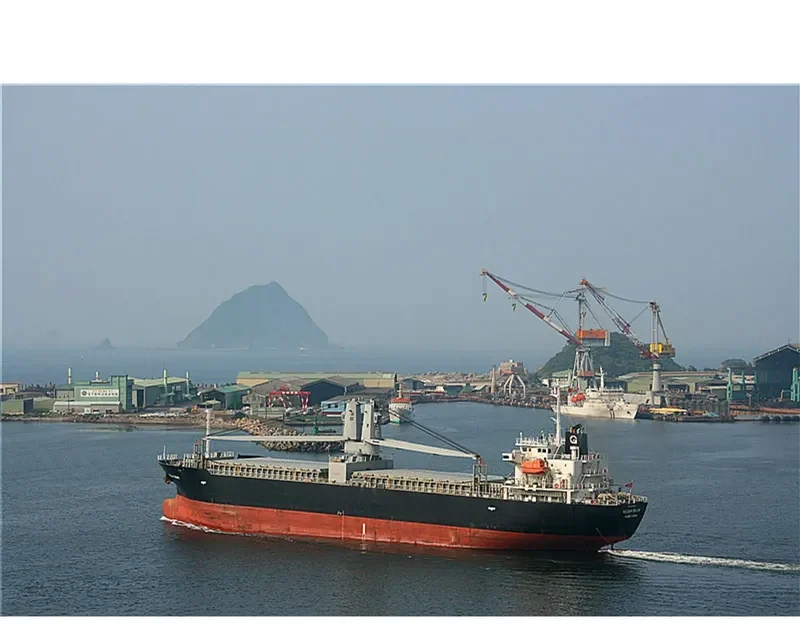 TOYO DREAM General Cargo IMO 9543275 photo 2