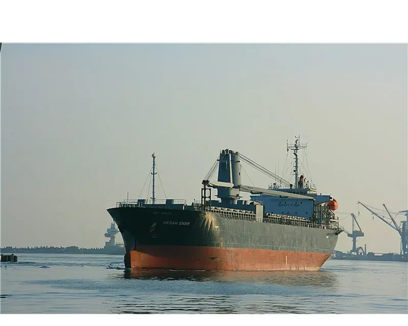 TOYO DREAM General Cargo IMO 9543275 photo 4