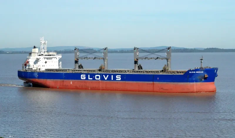 GLOVIS MERMAID Bulk Carrier IMO 9543603 photo 206