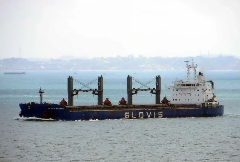 GLOVIS MERMAID Bulk Carrier IMO 9543603 photo 231