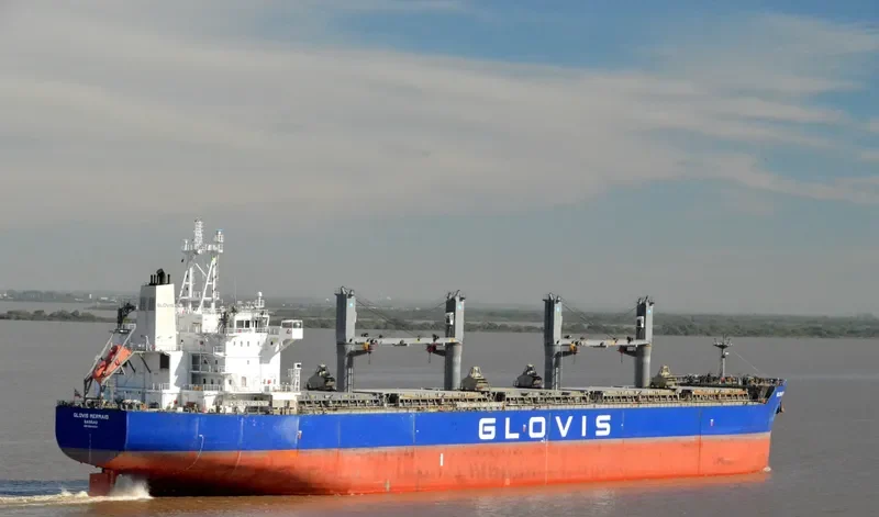 GLOVIS MERMAID Bulk Carrier IMO 9543603 photo 239