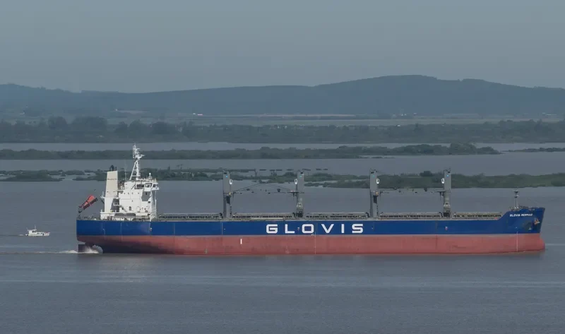 GLOVIS MERMAID Bulk Carrier IMO 9543603 photo 250
