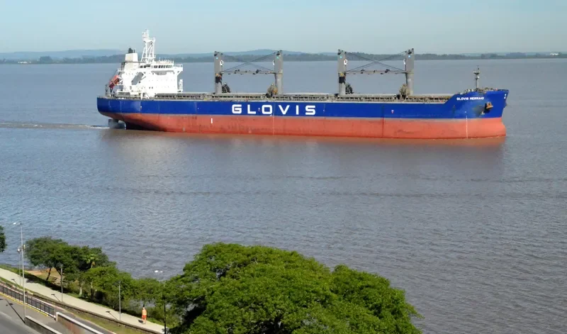 GLOVIS MERMAID Bulk Carrier IMO 9543603 photo 290