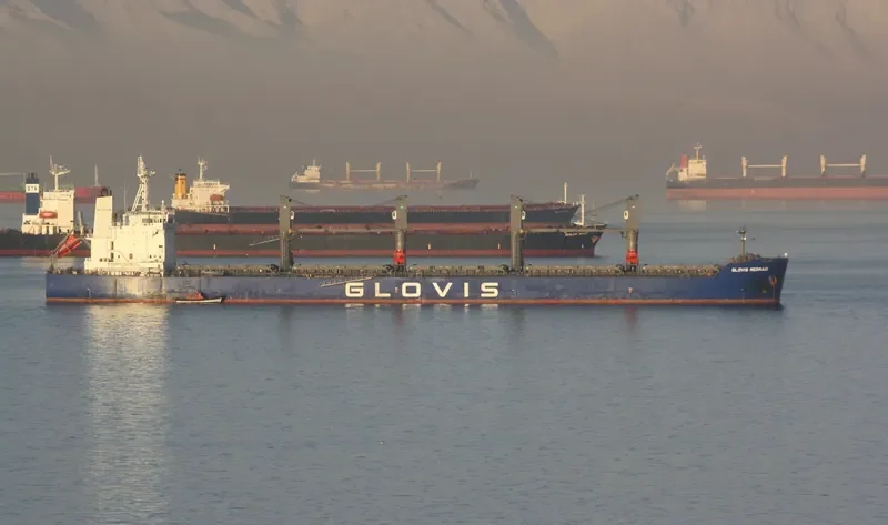 GLOVIS MERMAID Bulk Carrier IMO 9543603 photo 315