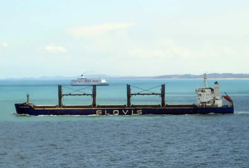 GLOVIS MERMAID Bulk Carrier IMO 9543603 photo 328