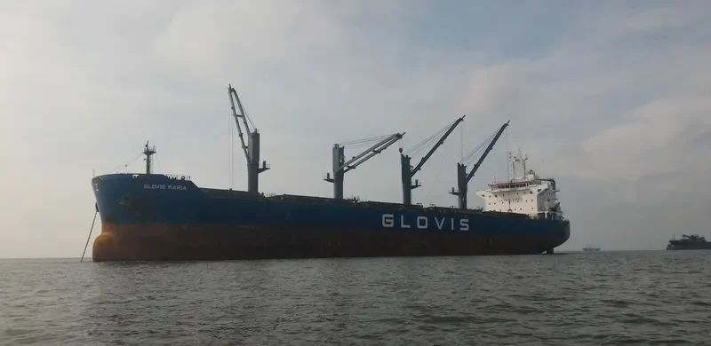 GLOVIS MARIA Bulk Carrier IMO 9543615 photo 27