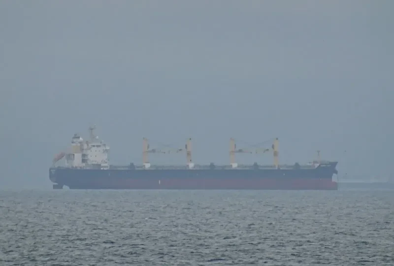 DESERT CALM Bulk Carrier IMO 9543677 photo 2