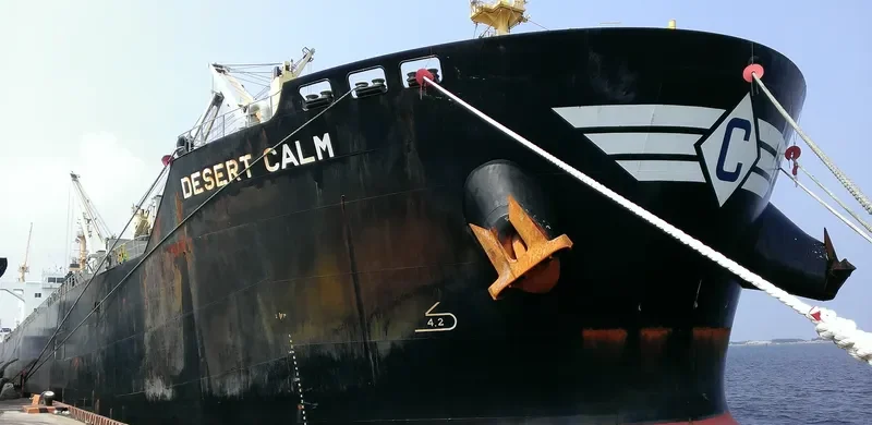 DESERT CALM Bulk Carrier IMO 9543677 photo 3