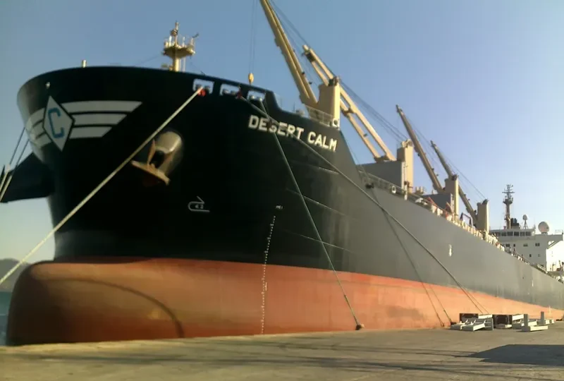 DESERT CALM Bulk Carrier IMO 9543677 photo 5