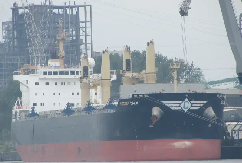 DESERT CALM Bulk Carrier IMO 9543677 photo 9