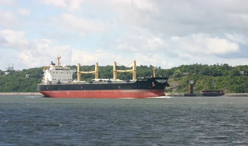 DESERT GLORY Bulk Carrier IMO 9543691 photo 3