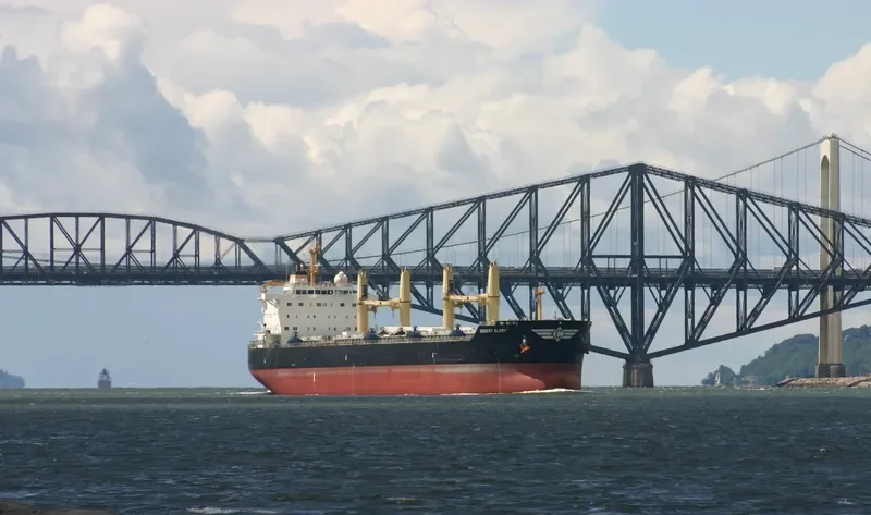 DESERT GLORY Bulk Carrier IMO 9543691 photo 4