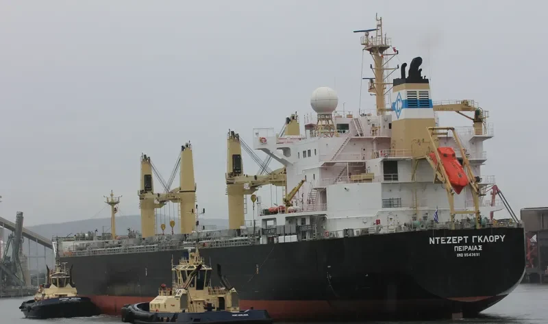 DESERT GLORY Bulk Carrier IMO 9543691 photo 6