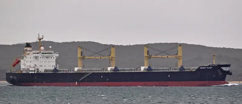 DESERT GLORY Bulk Carrier IMO 9543691 photo 10
