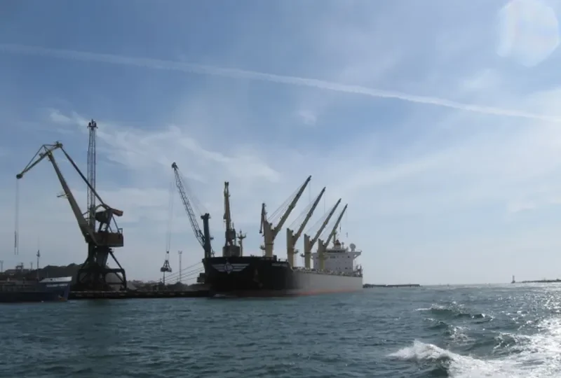 DESERT MOON Bulk Carrier IMO 9543770